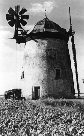 Wilsdruff-Kaufbach. Holländermühle, Repro