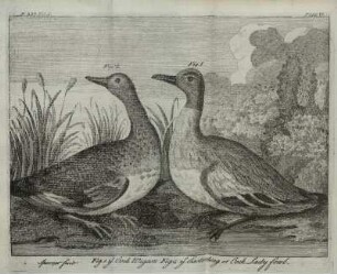 P.337. VOL. I. PLATE IV.