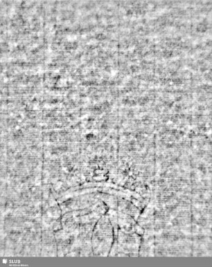 Lilienschild + IESV / LW = S.3/4