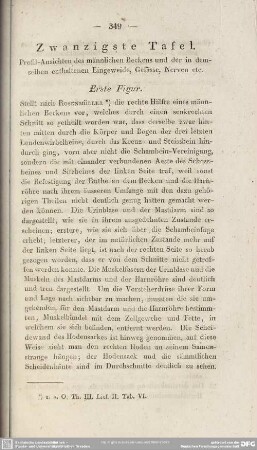Zwanzigste Tafel. Profil-Ansichten des männlichen Beckens und der in demselben enthaltenen Eingeweide, Gefässe, Nerven etc.