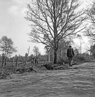 Nienwohlder Moor: Naturschutzgebiet: vorn Weg ins Moor: rechts Mann neben Baum: links Holzzaun: davor Hinweisschild: im Hintergrund Moorwiesen und Sträucher
