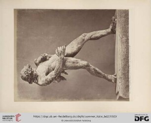 Musée Naples. Faune ivre. Pompei excavations 1880