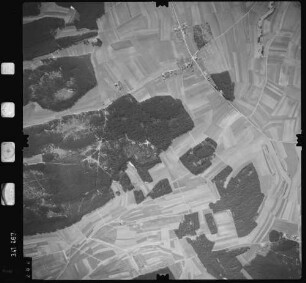 Luftbild: Film 50 Bildnr. 282