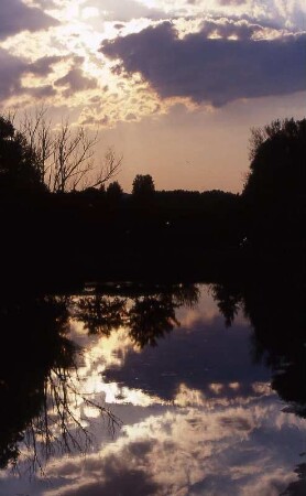 Oderbruch am Abend : Abends im Oderbruch. Aufgenommen 2001