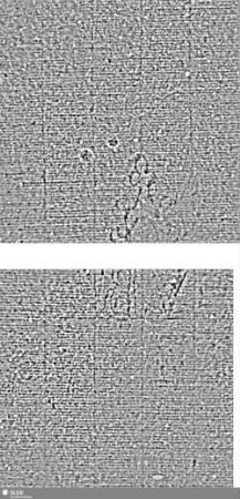 VB (gekrönt) / Mondsichel = S.337-340