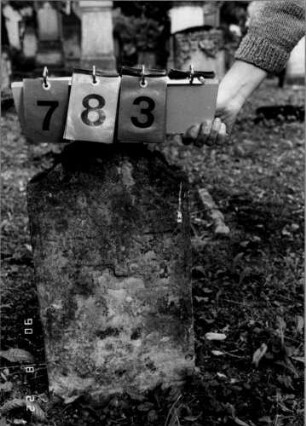 Grabstein 783
