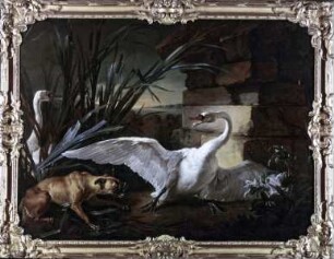 Hund und Schwäne