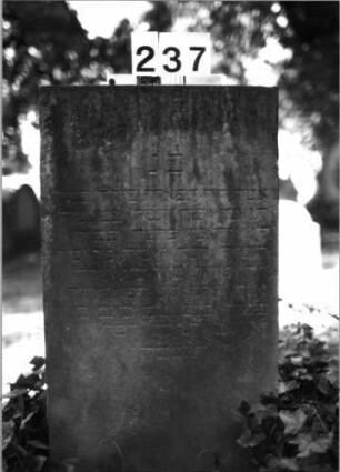 Grabstein 237 (Index: 100085055) Maße HxBxT: 104x50x29 cm Beschreibung: rechteck. Stele, Sockel, Schriftfeld eingetieft mit Rundbogenabschl. auf Vorderseite: Grabstein 237