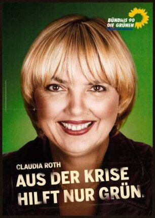 Bündnis 90/Die Grünen, Bundestagswahl 2009