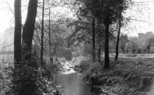 Triebischtal-Tanneberg. Die Triebisch bei Neu-Tanneberg