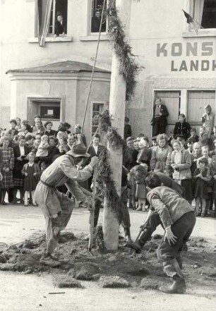 Maibaumwerfen in Radibor : Ort: Radwor / Radibor. Maibaumwerfen, der Maibaum wird ausgegraben
