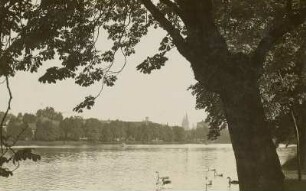 Altenburg. Großer Teich. Blick zu den "Roten Spitzen"