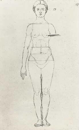 Frau von vorn ohne linken Arm mit Proportionslinien : Dresdner Skizzenbuch (1507/1528). Frau von vorn ohne linken Arm mit Proportionslinien (aus: R. Bruck: Das Skizzenbuch von Albrecht Dürer, Straßburg 1905, Tafel 72, Blatt 161r, Str. 3, Kriegsverlust). Dresden: SLUB Mscr.Dresd.R.147.f