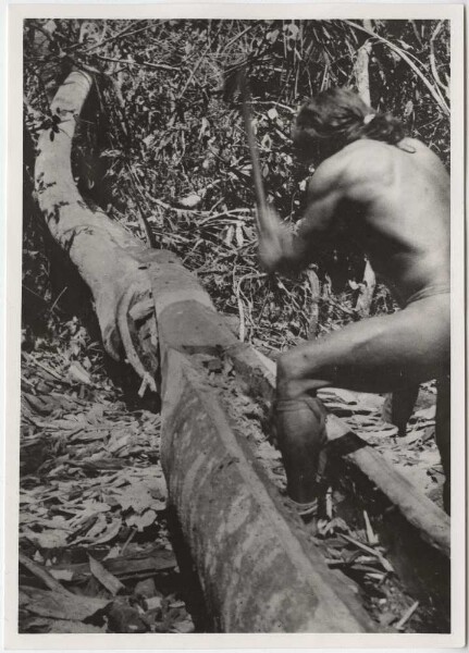 Hollowing out a tree trunk to build a canoe (Aparai)