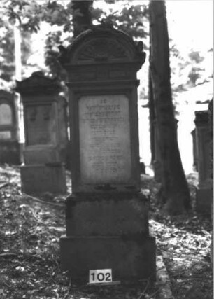 Grabstein 102 (Index: 99898883) Material: Sandstein Zustand: etwas angewittert Maße HxBxT: 144x50x29 cm Beschreibung: aufgesockelte Stele, oben abgeflachter Giebelaufsatz, darauf doppelter Rundbogen mit Blattornamenten, unterhalb des Aufsatzes Zinnenfries Symbolik: Zinnenfries, Blattornamente: Grabstein 102