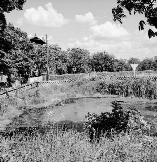 Lasbek-Dorf: Dorfteich mit Schilf: dahinter Jägerzaun und Wiese: hinten rechts Straßenschild: hinten links zwischen Bäumen Hausdach
