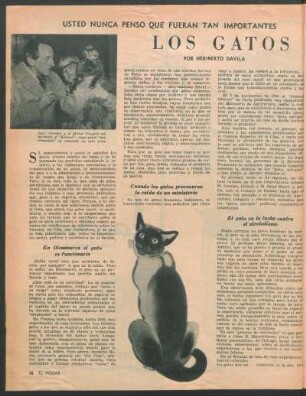 Los gatos : Usted nunca imaginó que fueran tan importantes