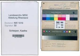 Entnazifizierung Kaethe Schleipen , geb. 30.09.1900 (Lehrerin)