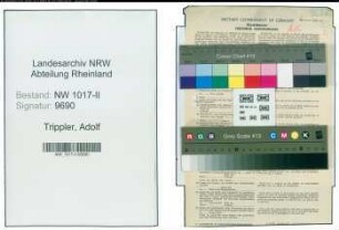 Entnazifizierung Adolf Trippler , geb. 25.12.1918 ()
