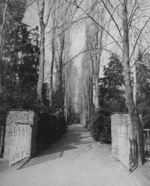 Annaberg-Buchholz. Neuer Friedhof. Eingang und Hauptallee