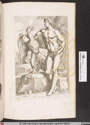 [Jupiter in Gestalt eines Adlers und Ganymed]