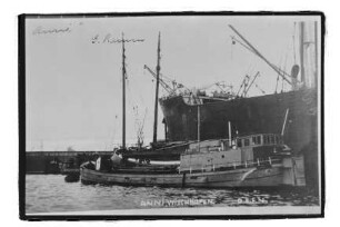 Anni (1912), Gustav Ramm, Wischhafen