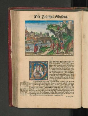 Der Prophet Obadia.