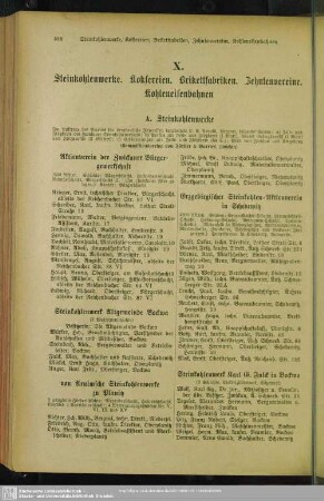 X. Steinkohlenwerke. Koksereien. Brikettfabriken. Zehntenvereine. Privateisenbahnen. Königin-Marienhütte. Maximilianshütte. Zwickauer Gußwerke