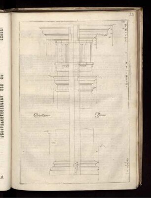 Illustration XXI: Pietro Cataneo Palladio