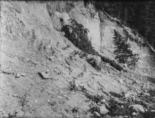 Abgerutschter Berghang : Blick auf einen abgerutschten Berghang
