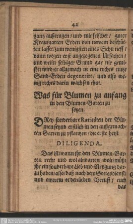 Was für Blumen zu anfang in den Blumen-Garten zu setzen