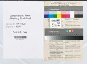 Entnazifizierung Paul Schmidt, geb. 15.03.1903 (Buchhalter)