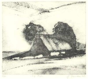 Auf Rügen