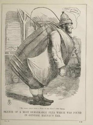 Sketch of a most remarkable flea which was found in General Haynau's ear