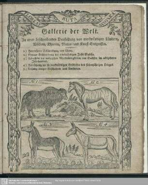 Gallerie der Welt