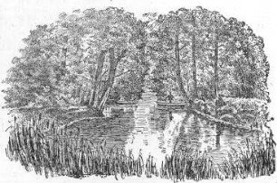 Kreba-Neudorf-Kreba. Kahnpartie auf dem schwarzen Schöps, aus: Neuer Görlitzer Anzeiger vom 14.9.1902
