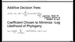 Using phylodynamics and decision trees to estimate the effects of mutation on viral fitness