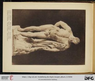 Ercole Farnese