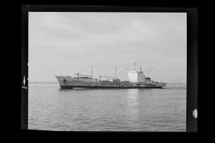 Bremerhaven (1975), Frachtschiff (reefer), Scipio & Co., Bremen, Bau-Nr. 80
