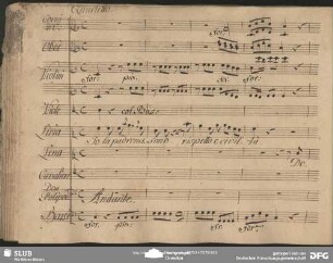 Quartetto: "Io la padrona sono"