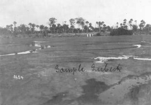 La Brea Point (Trinidad und Tobago). Blick über den Asphalt des Pitch Lake (Asphaltsee) mit Wasserkanälen, im Hintergrund Touristen