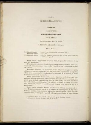 Descrizione della Ittiofauna.