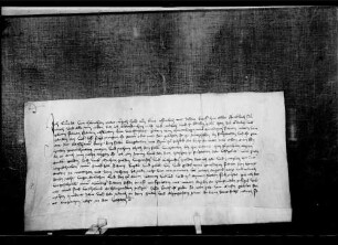 Ritter Konrad von Hürnheim verkauft den Kaisheimer Berg (WR 12 487) an Gräfin Elsbeth von Württemberg, geb. von Henneberg um 210 fl.