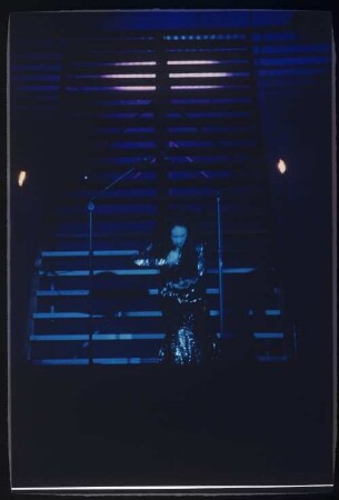 Ars Electronica Linz 23.6.1986 D4