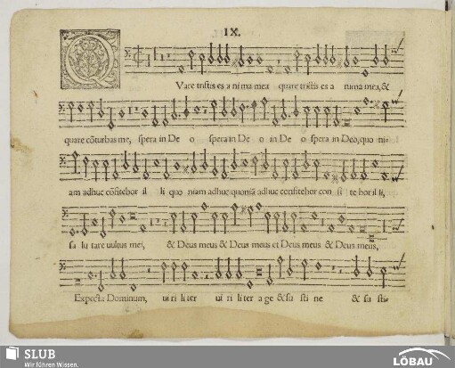 IX. Qvare tristis es anima mea