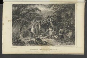 Indians of the Tierra Templada.