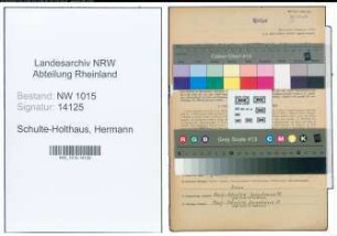 Entnazifizierung Hermann Schulte-Holthaus , geb. 07.11.1913 (Polizist)