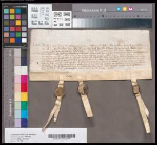 Lubrecht von Luttelnauwe, Philipp von Wytleric, Alf von Brachbeck, Alf Mundel, Heinrich v. Westhusen und Albert Mostardt bekennen, dass sie des Grafen Gerhard von Berg unwidersagte Mannen geworden sind.