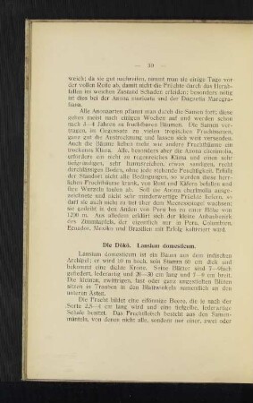 Die Dökö. Lansium domesticum.