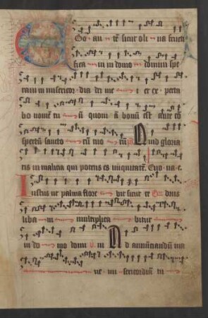 Fleuronnée-Initiale C, gespalten